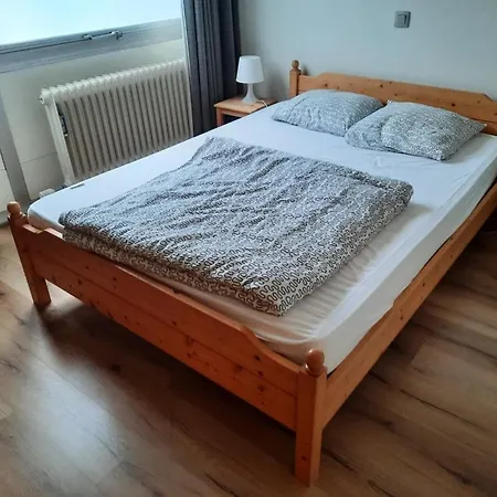 Residentie Viking Apartament *